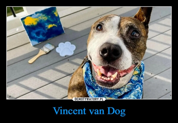 
    Vincent van Dog