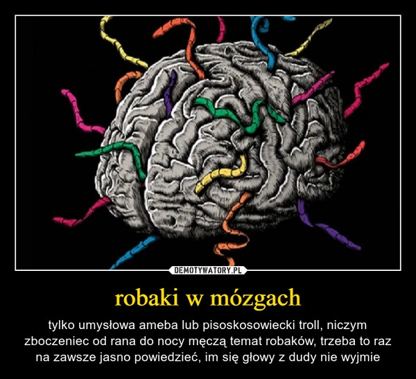 
    robaki w mózgach