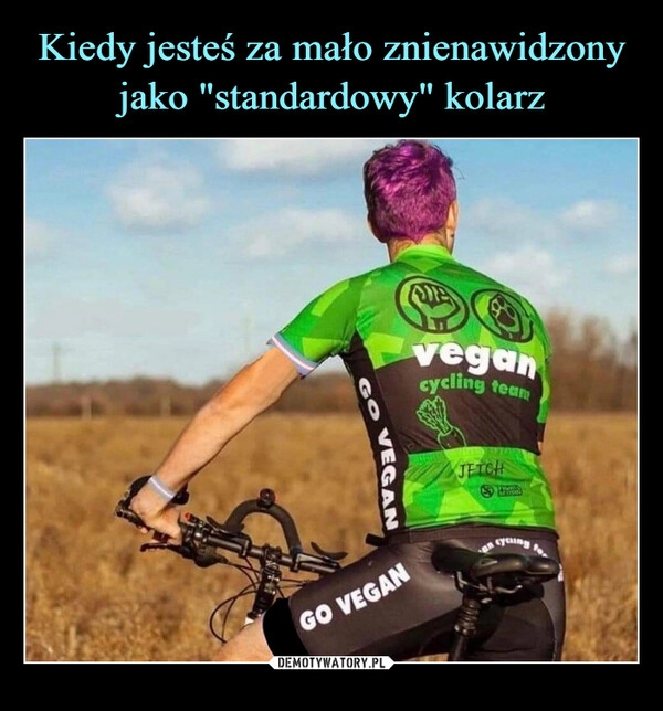 
    Kiedy jesteś za mało znienawidzony
jako "standardowy" kolarz