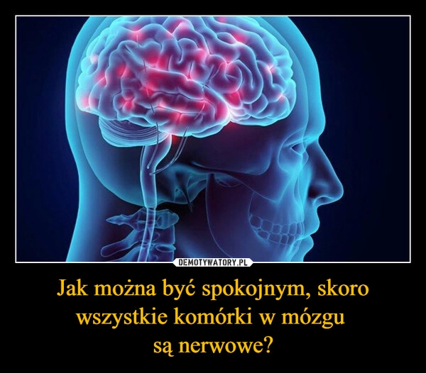 
    Jak można być spokojnym, skoro wszystkie komórki w mózgu 
są nerwowe?