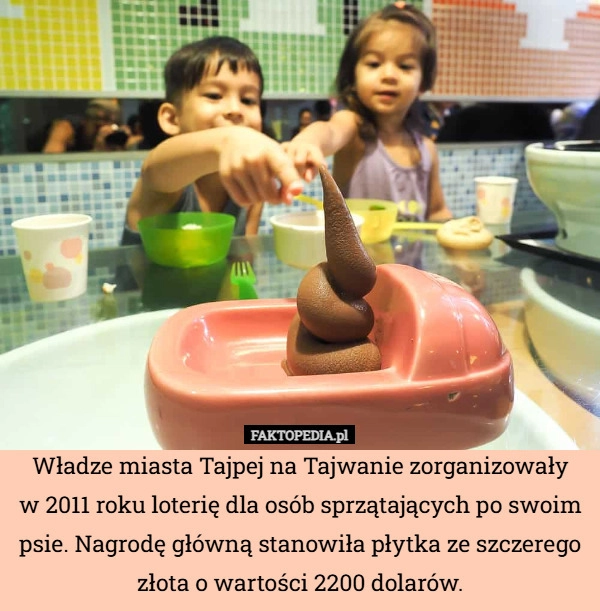 
    Władze miasta Tajpej na Tajwanie zorganizowały
w 2011 roku loterię dla osób