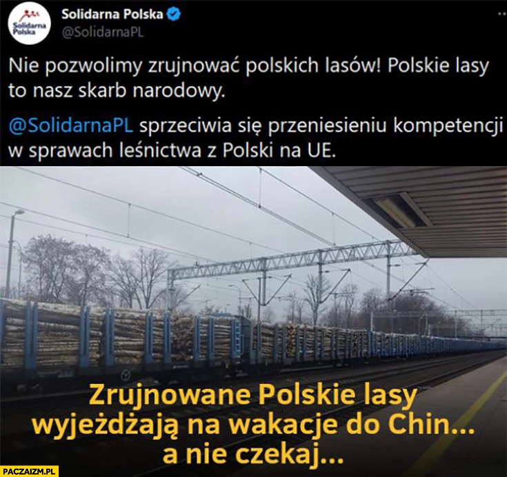 
    Solidarna Polska nie pozwolimy zrujnować polskich lasów tymczasem polskie lasy wyjeżdżają na wakacje do Chin a nie czekaj