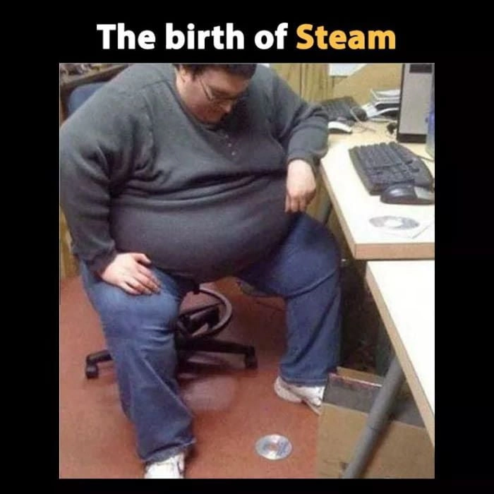 
    Steam: The origins