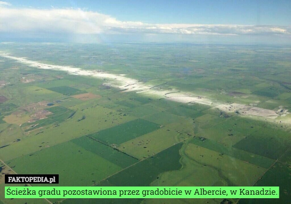 
    Ścieżka gradu pozostawiona przez gradobicie w Albercie, w Kanadzie.