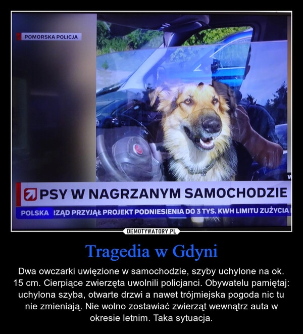 
    Tragedia w Gdyni