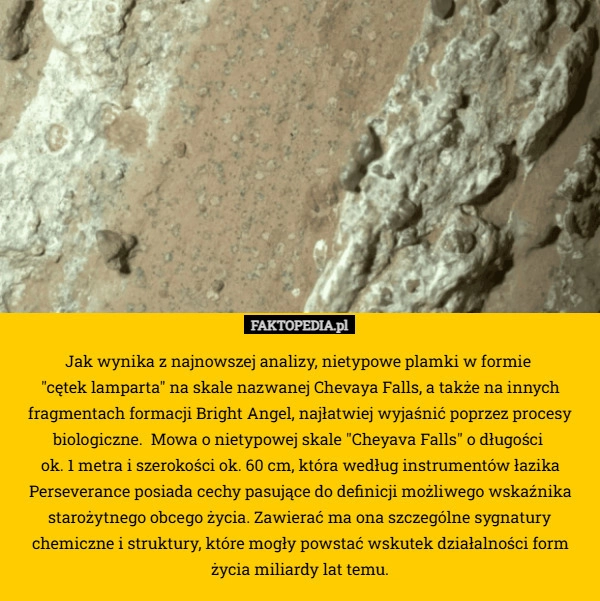 
     Jak wynika z najnowszej analizy, nietypowe plamki w formie 
"cętek