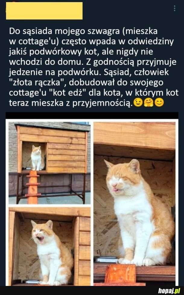 
    Nowy sąsiad