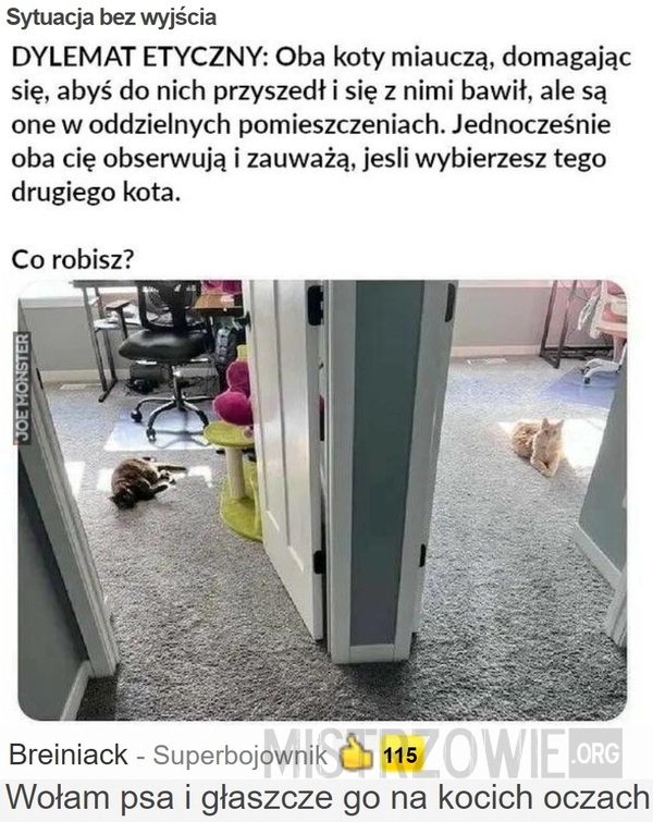 
    Sytuacja bez wyjścia