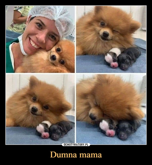 
    
Dumna mama 