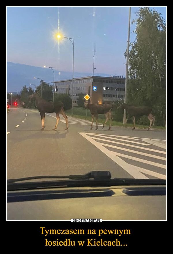 
    Tymczasem na pewnym 
łosiedlu w Kielcach...