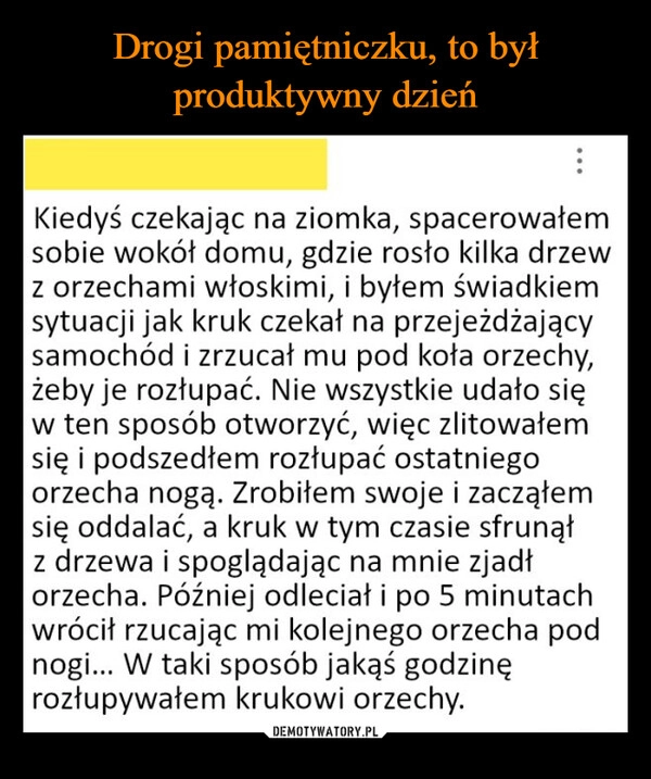 
    Drogi pamiętniczku, to był produktywny dzień