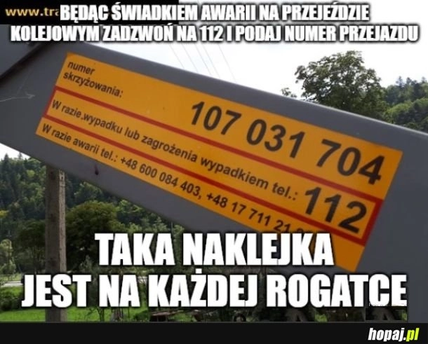 
    Tego powinni uczyć w szkole