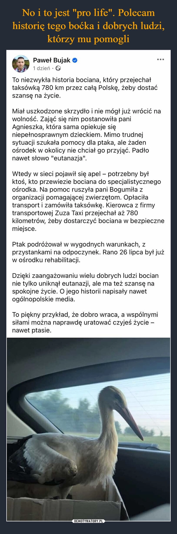 
    No i to jest "pro life". Polecam historię tego boćka i dobrych ludzi, którzy mu pomogli