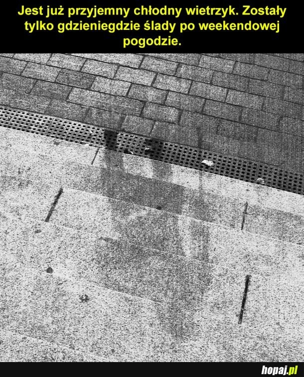 Już po wszystkim