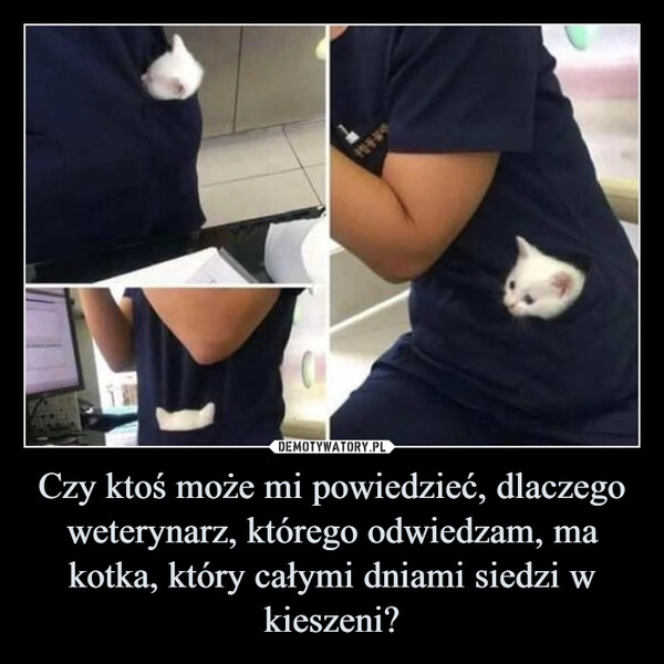 
    Czy ktoś może mi powiedzieć, dlaczego weterynarz, którego odwiedzam, ma kotka, który całymi dniami siedzi w kieszeni?