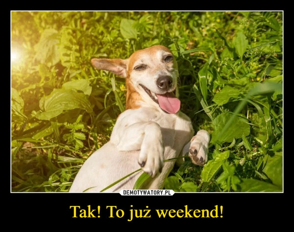 
    Tak! To już weekend!