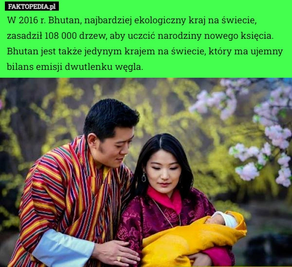 
    W 2016 r. Bhutan, najbardziej ekologiczny kraj na świecie, zasadził 108