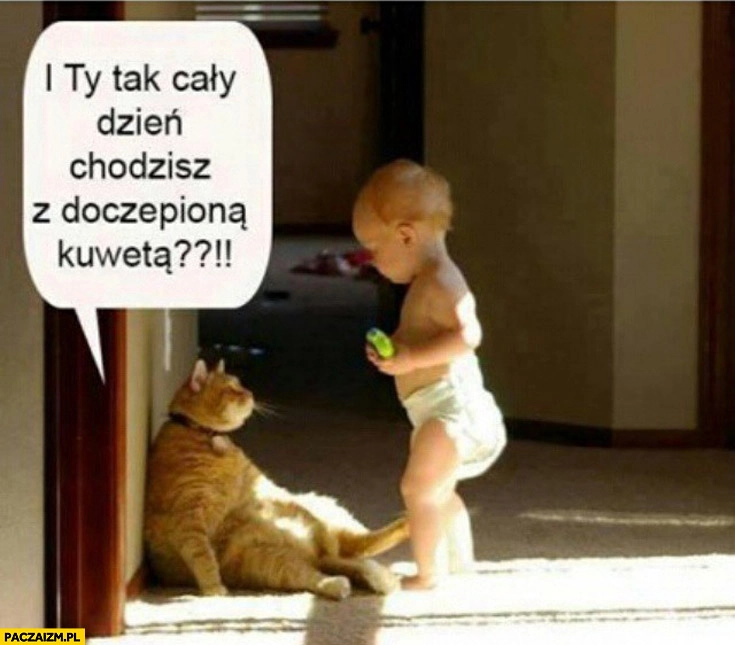 I tak cały dzień chodzisz z doczepioną kuwetą? Kot dziecko