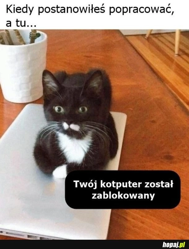 
    Blokada