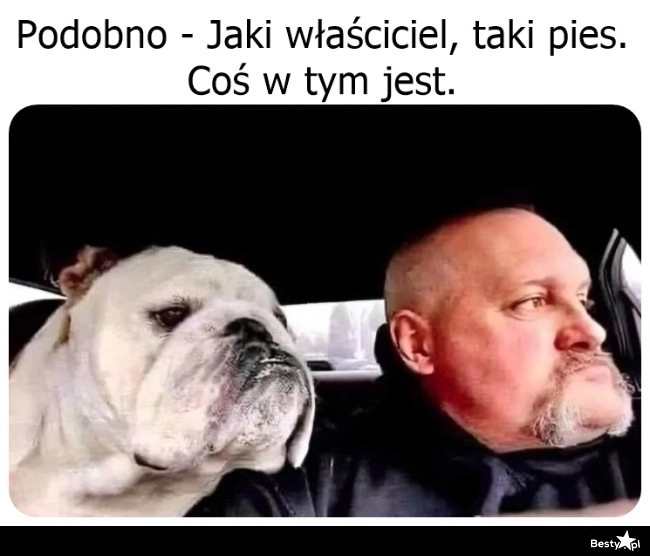 
    Jaki właściciel, taki pies 