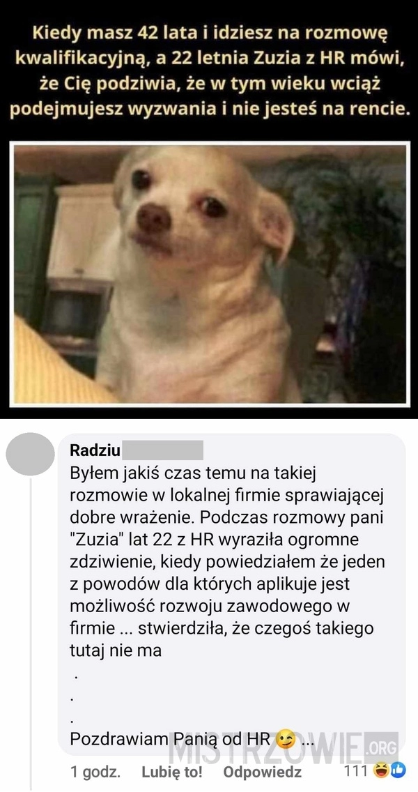 
    Rozmowa o pracę