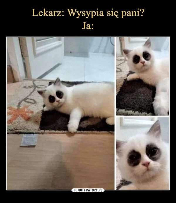 
    Lekarz: Wysypia się pani?
Ja: