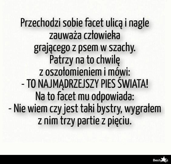 
    Najmądrzejszy pies na świecie 