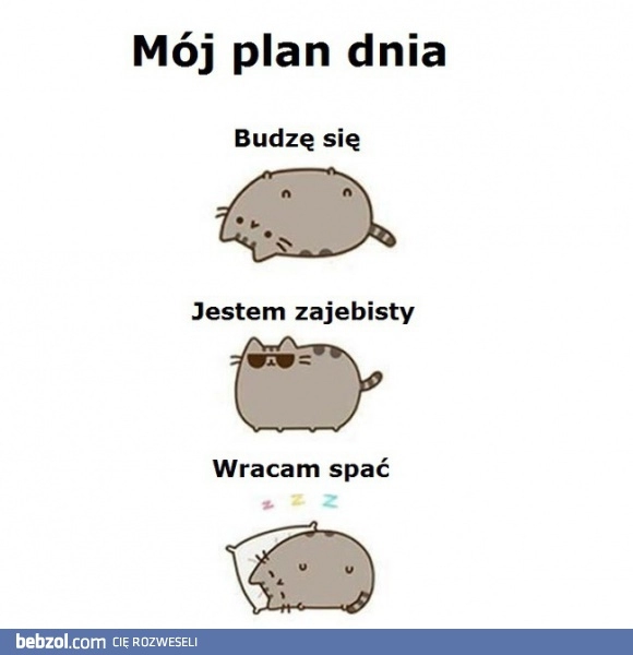 
    Plan dnia