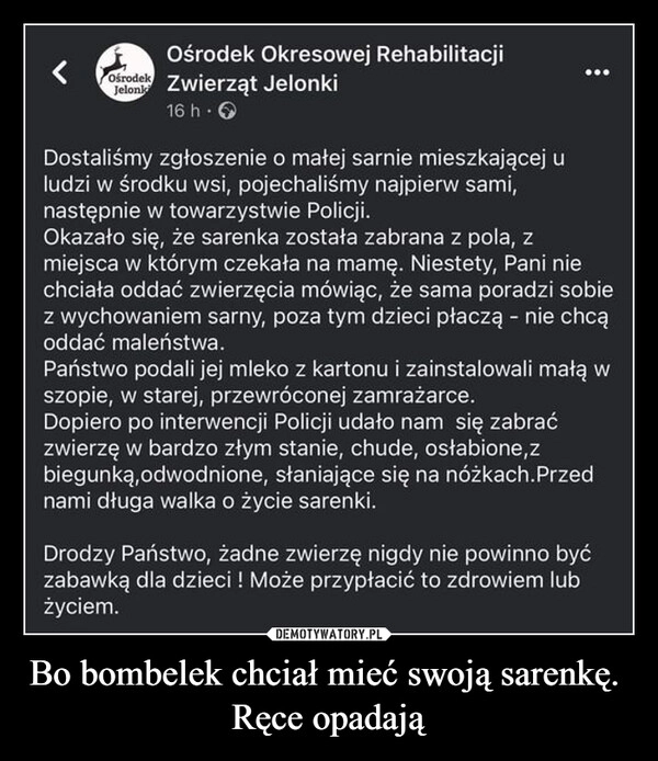 
    Bo bombelek chciał mieć swoją sarenkę. 
Ręce opadają