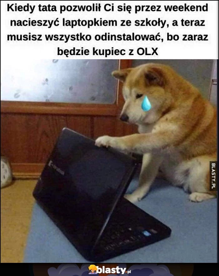 
    Kiedy tata dał Ci laptopa, a teraz musisz wszystko odinstalować bo zaraz będzie kupiec z OLX pies pieseł doge cheems płacze