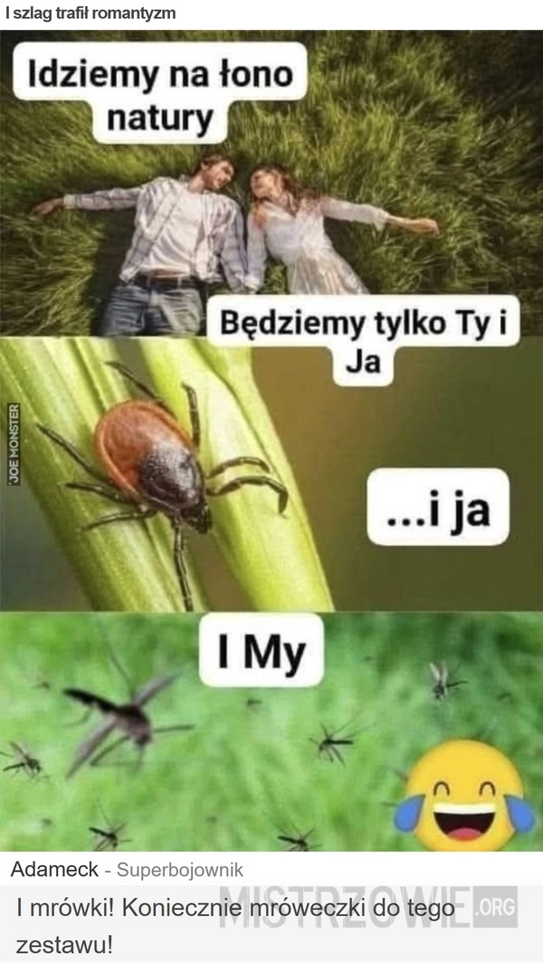 
    I szlag trafił romantyzm
