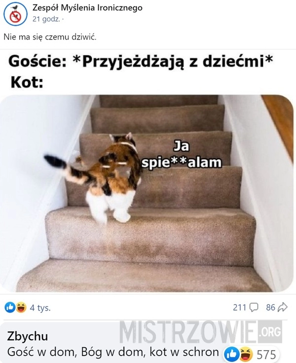 
    Goście