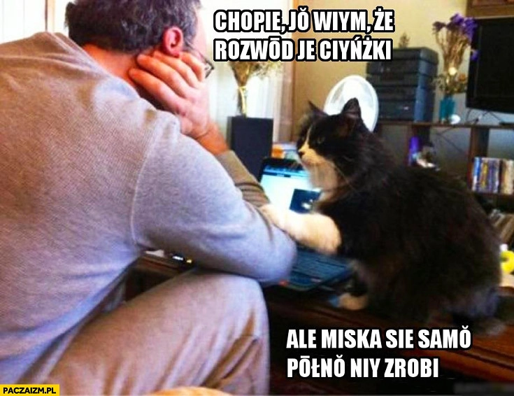 
    Chłopie ja wiem że rozwód jest ciężki ale miska się sama nie napełni