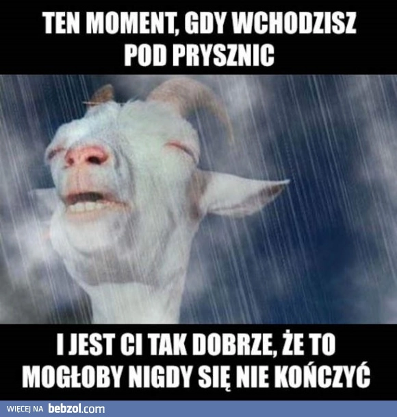 Ten moment 
