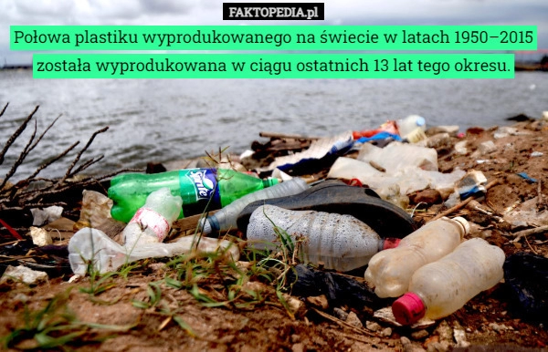 
    Połowa plastiku wyprodukowanego na świecie w latach 1950–2015 została wyprodukowana