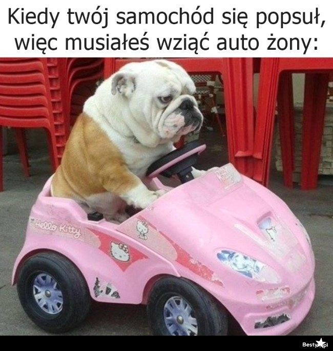 
    Auto zastępcze 