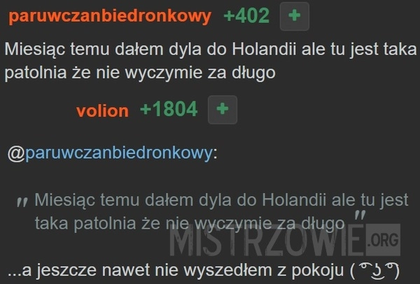 
    
			Holandia					