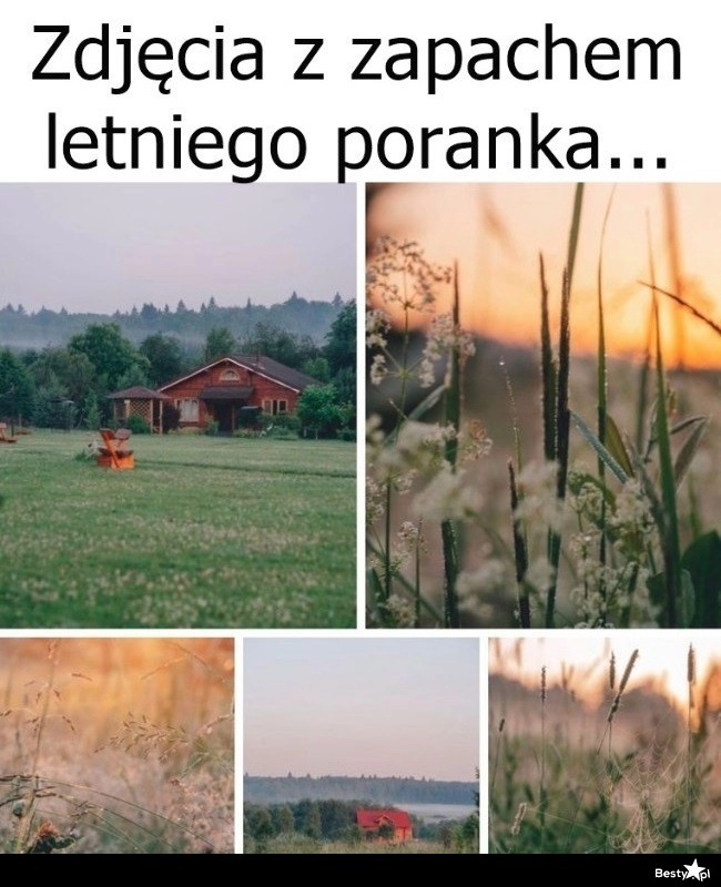 
    Letni poranek 