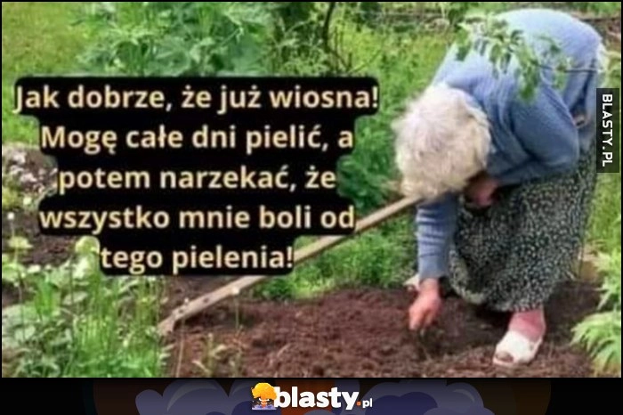 
    Jak dobrze, że już wiosna, mogę całe dni pielić a potem narzekać, że wszystko mnie boli od tego pielenia baba babcia