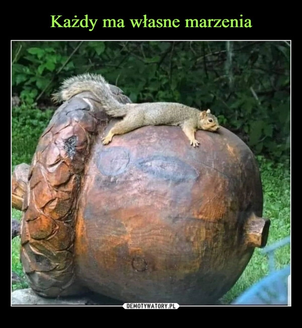 
    Każdy ma własne marzenia