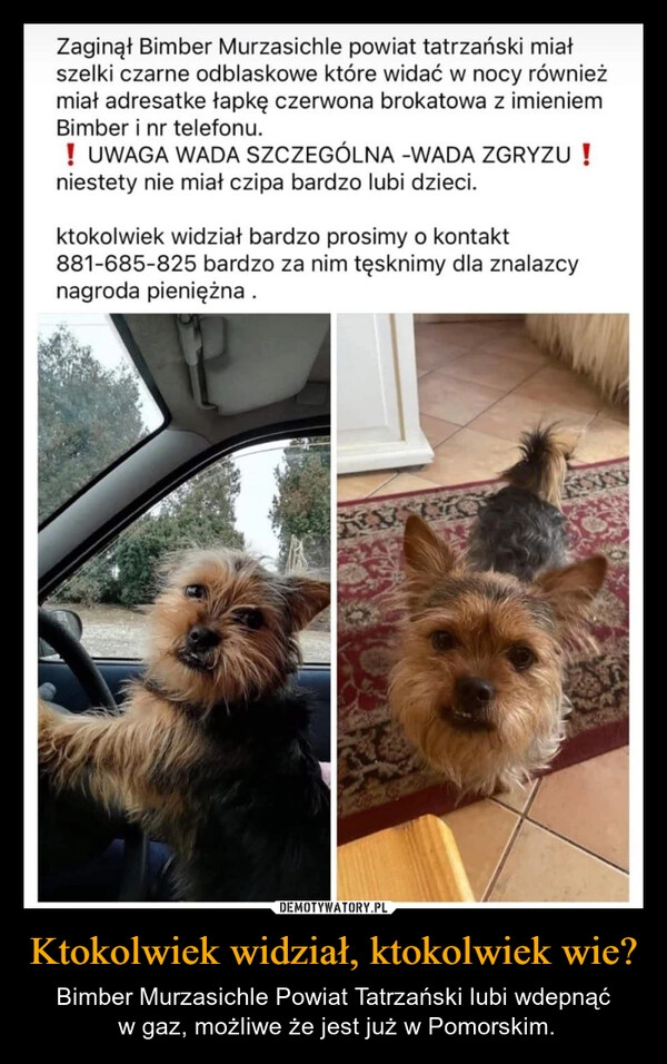 
    Ktokolwiek widział, ktokolwiek wie?