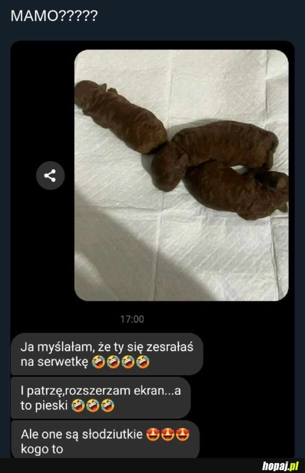 
    Można się pomylić