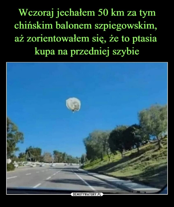 
    Wczoraj jechałem 50 km za tym chińskim balonem szpiegowskim, 
aż zorientowałem się, że to ptasia 
kupa na przedniej szybie