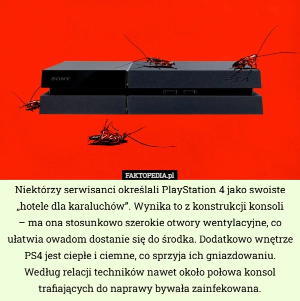 
    Niektórzy serwisanci określali PlayStation 4 jako swoiste „hotele dla karaluchów”...