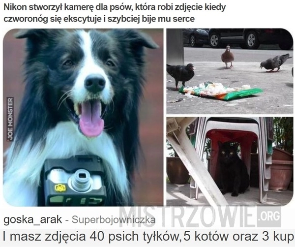 
    Nikon stworzył kamerę dla psów