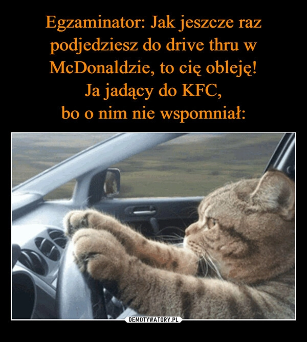 
    Egzaminator: Jak jeszcze raz podjedziesz do drive thru w McDonaldzie, to cię obleję!
Ja jadący do KFC,
bo o nim nie wspomniał: