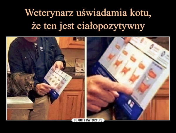 
    Weterynarz uświadamia kotu,
że ten jest ciałopozytywny