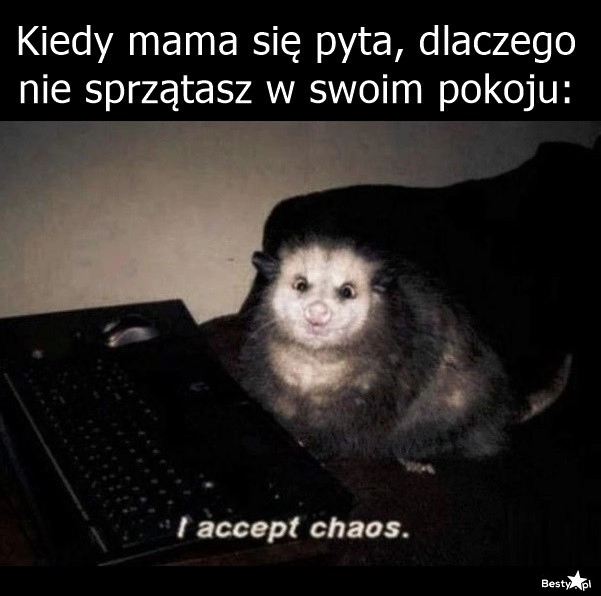 
    Sprzątanie pokoju 