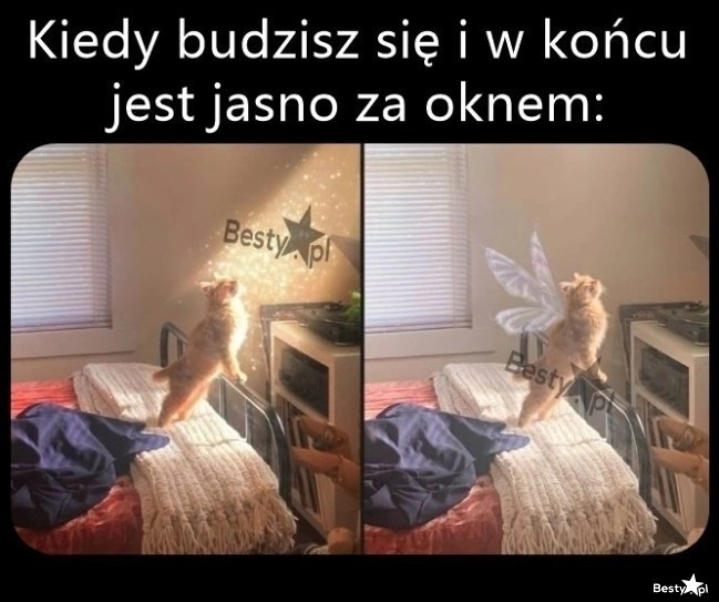 
    Od razu łatwiej wstać 