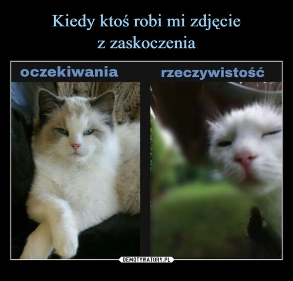 
    Kiedy ktoś robi mi zdjęcie
z zaskoczenia